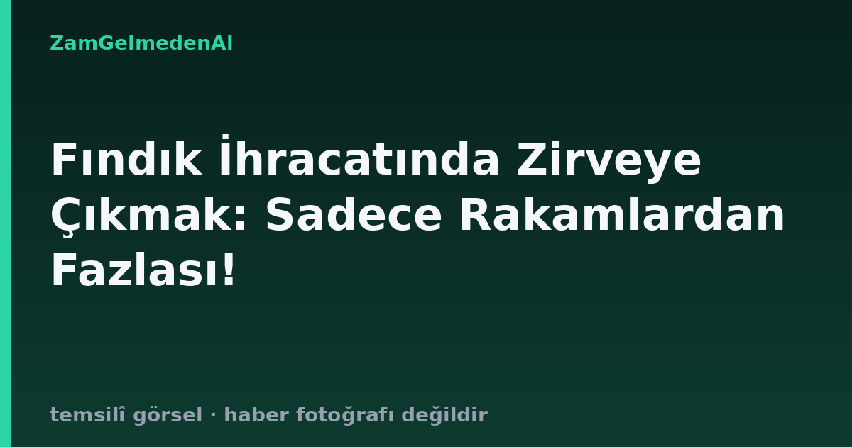 Fındık İhracatında Zirveye Çıkmak: Sadece Rakamlardan Fazlası!